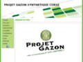 Détails : Projet gazon synthétique Corse
