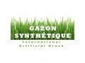 Gazon Synthétique IAG - Pelouse artificielle de haute qualité
