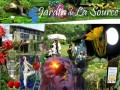 Détails : Jardin de La Source