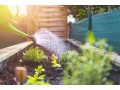 Détails : Mon Inspiration Jardin : des conseils et astuces pour un jardin parfait