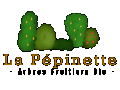 Détails : lapepinette.fr