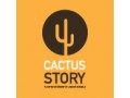 Détails : Cactus Story / Jardinerie des Jonquiers