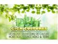 Détails : Giga Cultures