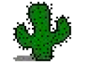 Détails : Les cactus et succulentes